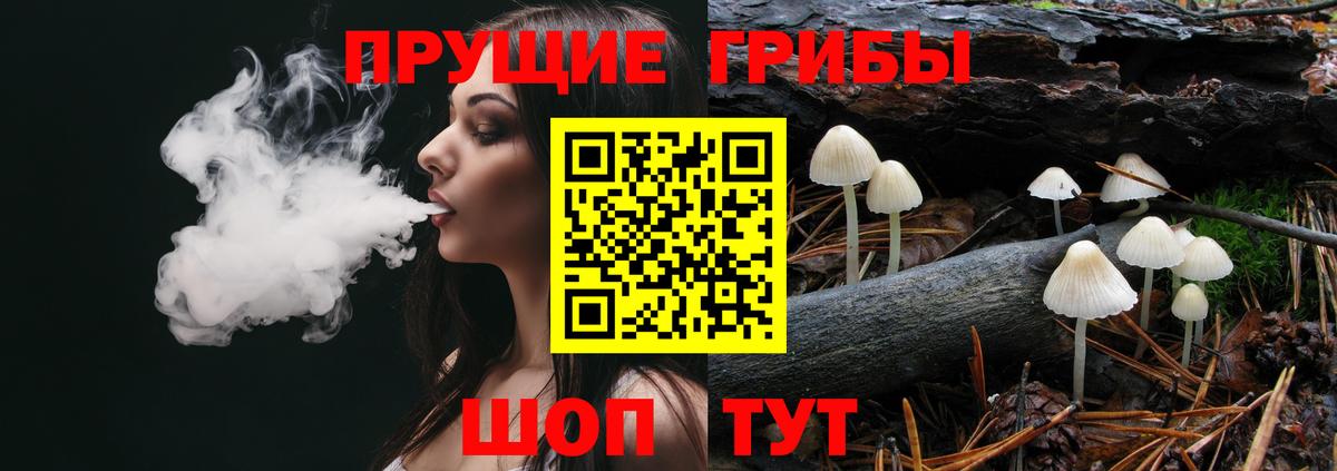 Псилоцибиновые грибы мухоморы Лениногорск